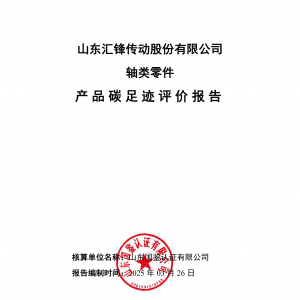 Carbon Footprint Report